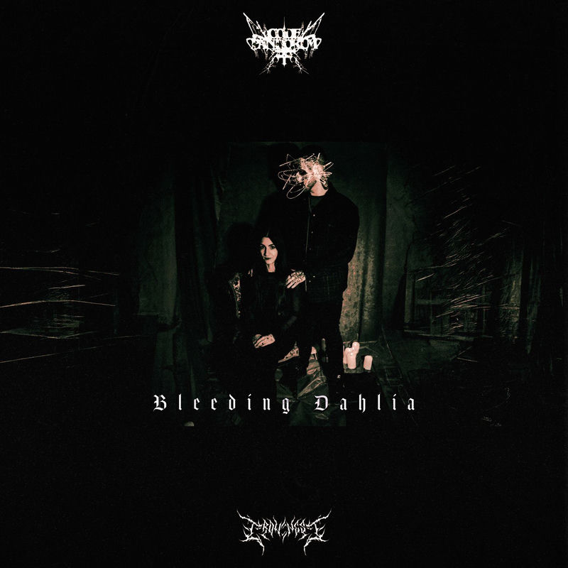 Code Pandorum - Bleeding Dahlia (Original Mix)