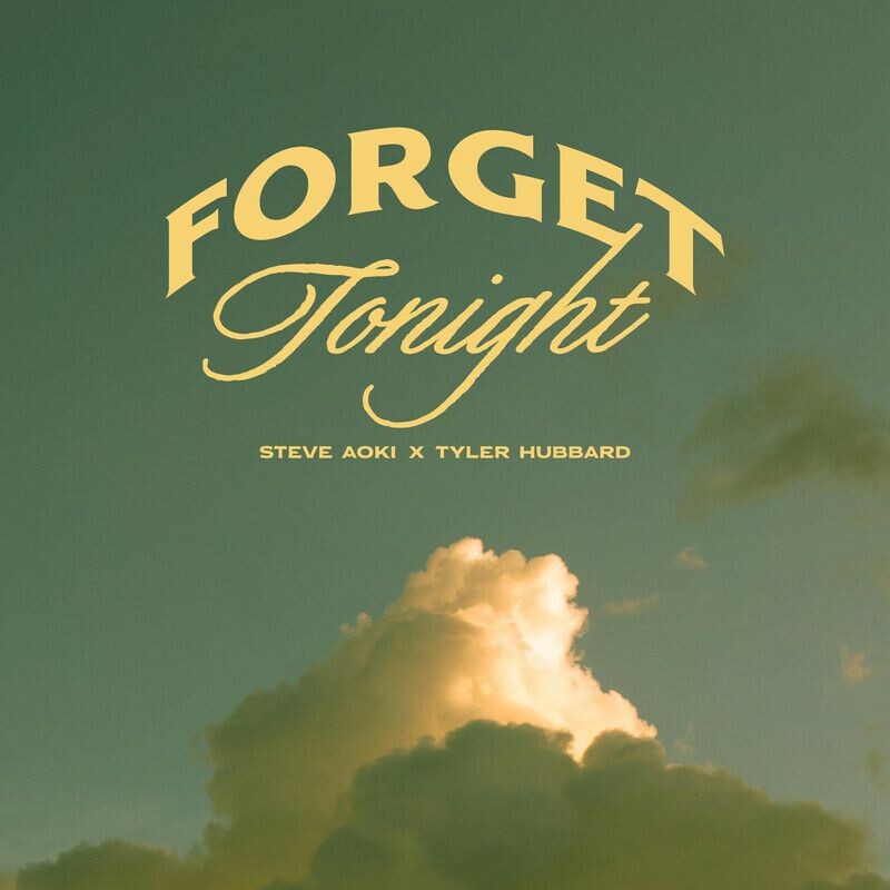 Steve Aoki & Tyler Hubbard - Forget Tonight (Original Mix)