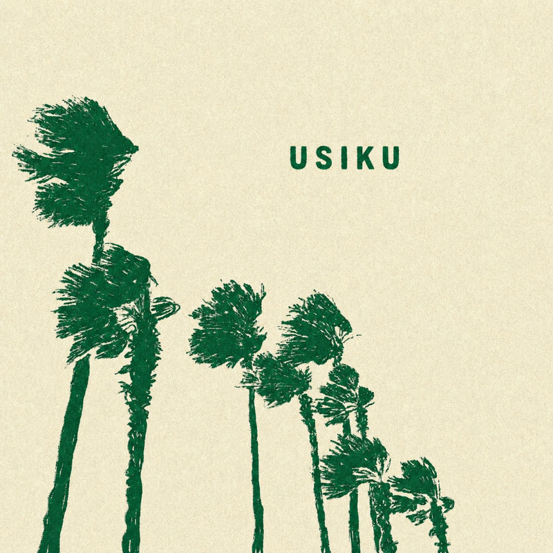 The Palm Tree Boy, HUANI - USIKU (Original Mix)