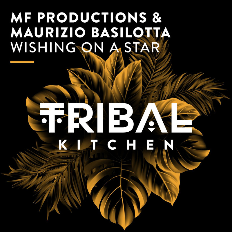 Maurizio Basilotta - Wishing on a Star (Extended Mix)