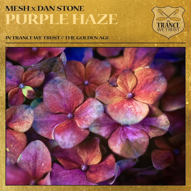 Dan Stone x Mesh - Purple Haze (Extended Mix)