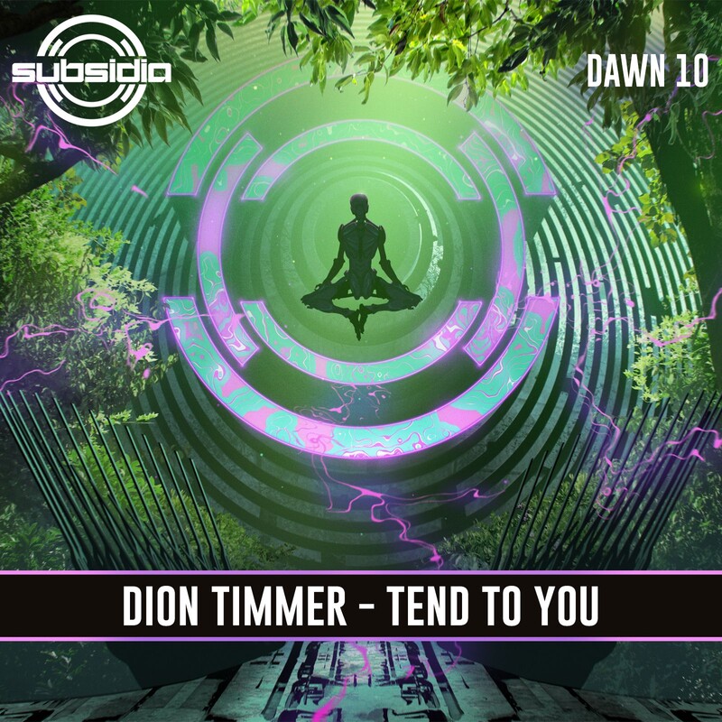 Dion Timmer - Tend To You (Original Mix)