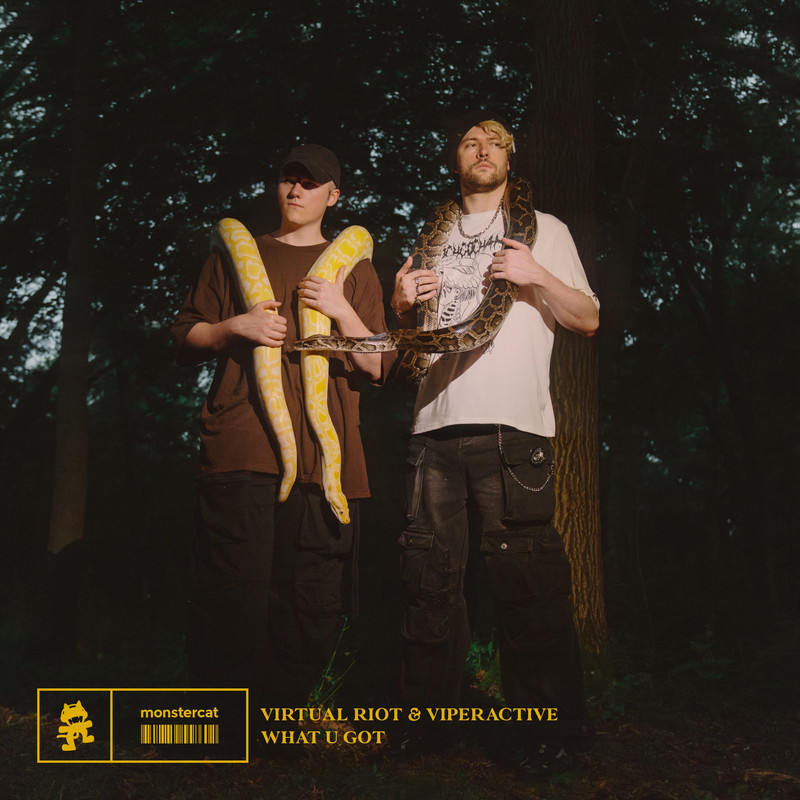 Virtual Riot & Viperactive - What U Got (Original Mix)