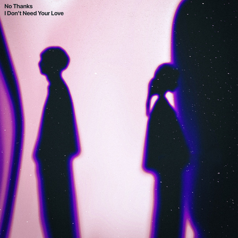 No Thanks - I Don't Need Your Love (Extended Mix)