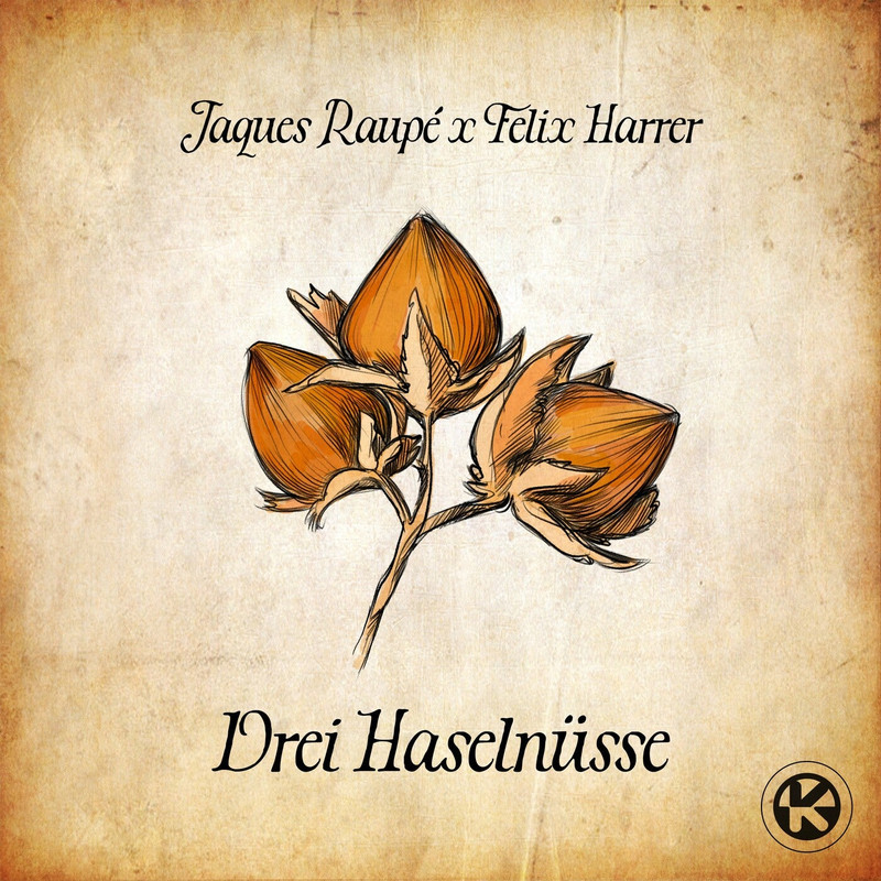 Jaques Raupé & Felix Harrer - 3 Haselnüsse (Extended Mix)
