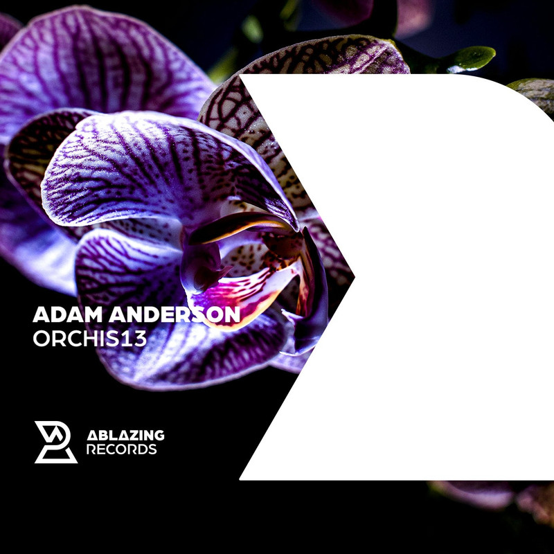Adam Anderson - Orchis13 (Extended Mix)