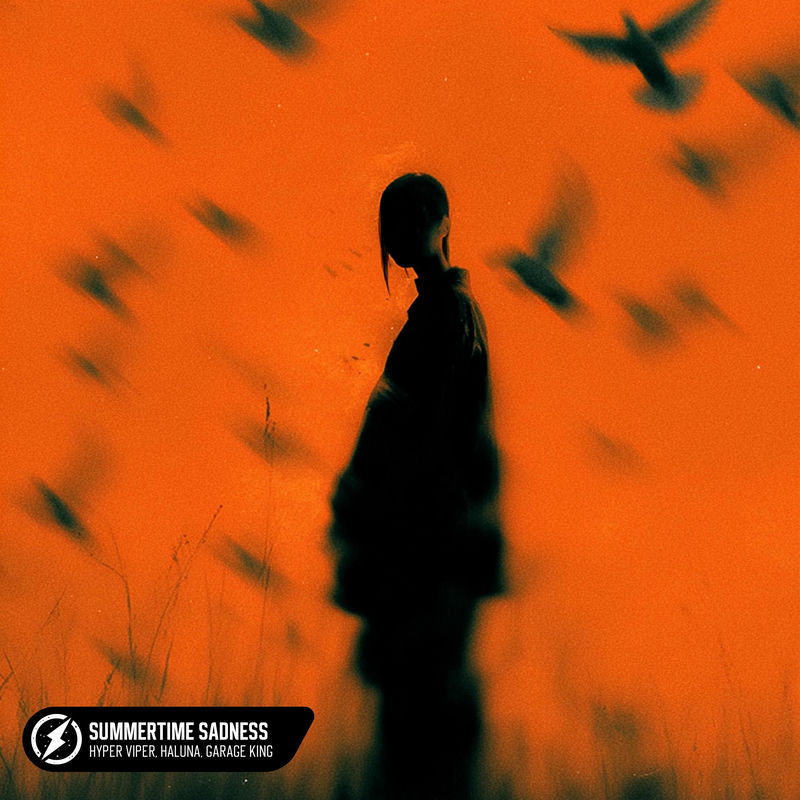 Hyper VIPER, HALUNA & Garage King - Summertime Sadness (Original Mix)