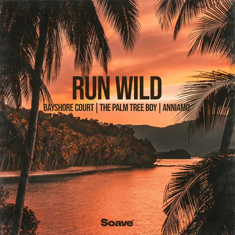 Bayshore Court, The Palm Tree Boy & ANNIAMO - Run Wild (Original Mix)