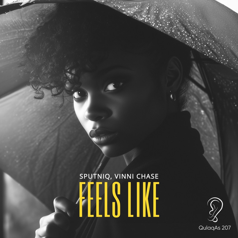 Sputniq & Vinni Chase - Feels Like (Extended Mix)
