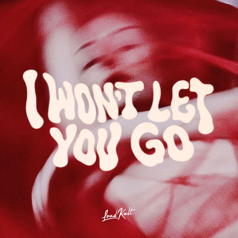 &Acirc;me, Jaylen Deeper, The Palm Tree Boy, Palm Brothers - I WON'T LET YOU GO (Original Mix)